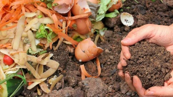 花土不用買，用3種“腐殖土”，鬆軟肥沃，養啥花都旺