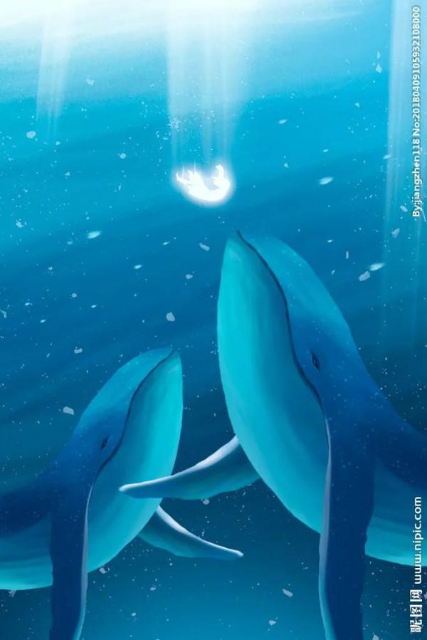 地球最大的動物