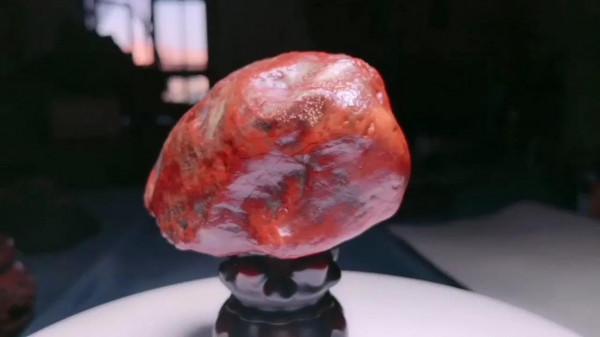 新疆尋寶戈壁精靈 新疆尋寶戈壁精靈