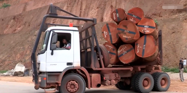 非洲小哥開賓士卡車運紅木,一車50噸一根賣幾十萬,路上全是車禍 非洲小哥開賓士卡車運紅木,一車50噸一根賣幾十萬,路上全是車禍