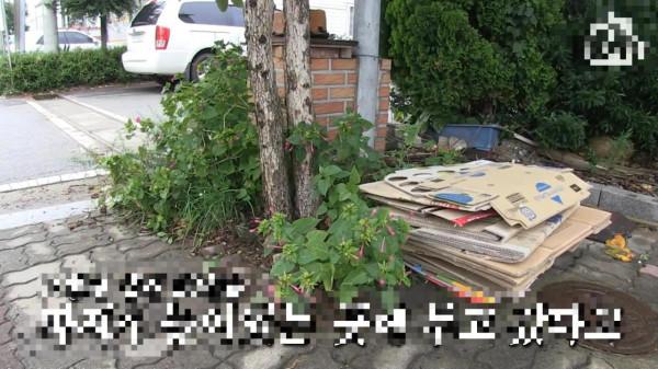 女人意外獲得一棵搖錢樹,每天都會獲得50元硬幣,但女人並不開心 女人意外獲得一棵搖錢樹,每天都會獲得50元硬幣,但女人並不開心