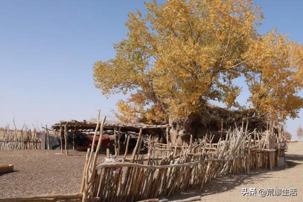 新疆神秘村莊,日本人《最後的沙漠守望者國際獲獎,沒在國內公映 新疆神秘村莊,日本人《最後的沙漠守望者國際獲獎,沒在國內公映