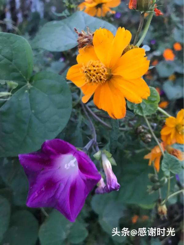 媽媽,為啥我總得聽你的呢?(母子對話分享) 媽媽,為啥我總得聽你的呢?(母子對話分享)