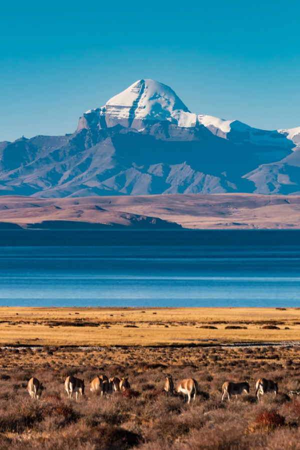 此生必去的35個最美旅行地,適合旅行的季節,你去過幾個? 此生必去的35個最美旅行地,適合旅行的季節,你去過幾個?