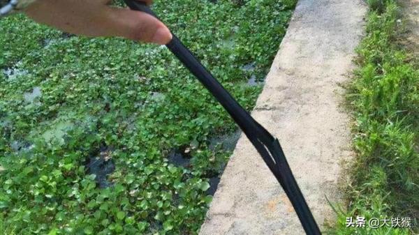 購買魚竿的三大誤區，你知道嗎？新手又該如何選擇魚竿呢？