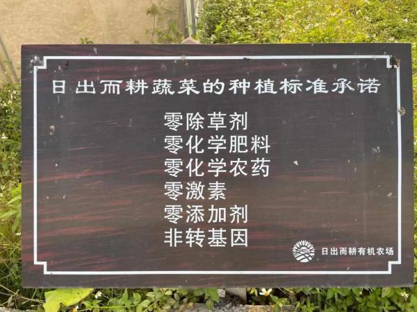 日出而耕有機農場冬季大豐收啦