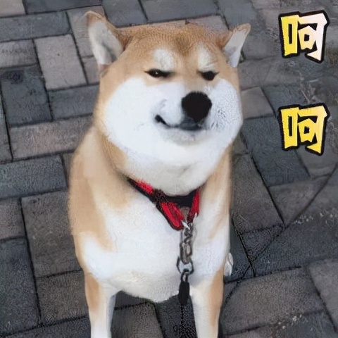 孩子在班裡孤立了該怎麼辦？要換班嗎