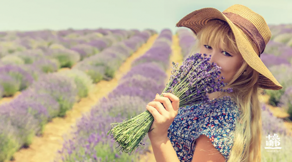 你周圍的三個人，決定了你的人生走向