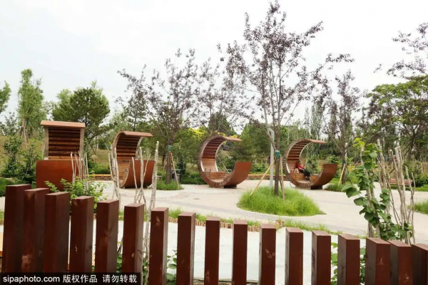 唯美浪漫!紫色馬鞭草盛放,北京這些人少景美的免費公園,你不一定都去過 唯美浪漫!紫色馬鞭草盛放,北京這些人少景美的免費公園,你不一定都去過