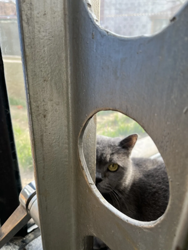 &OpenCurlyDoubleQuote;都督&rdquo;等你來搶！手慢無