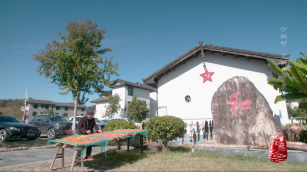 湖南沙洲村：一座因善而美的小山村