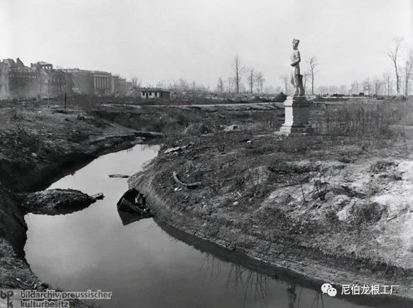 沒救了，燉了吧：二戰中的德國柏林動物園