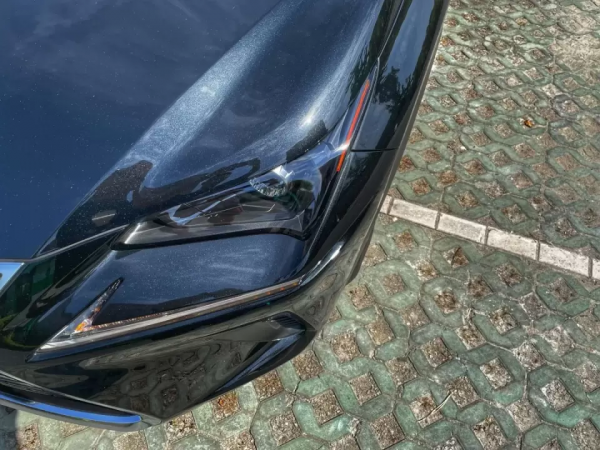 獨立試駕雷克薩斯NX 200：佛系？又怎樣