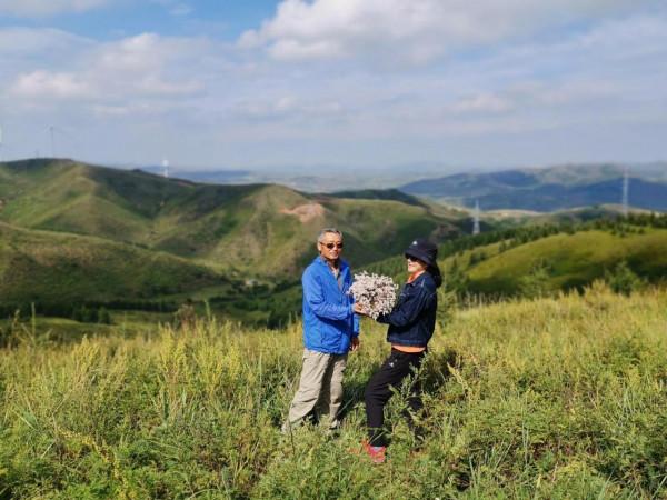悠悠林海 歲歲情緣