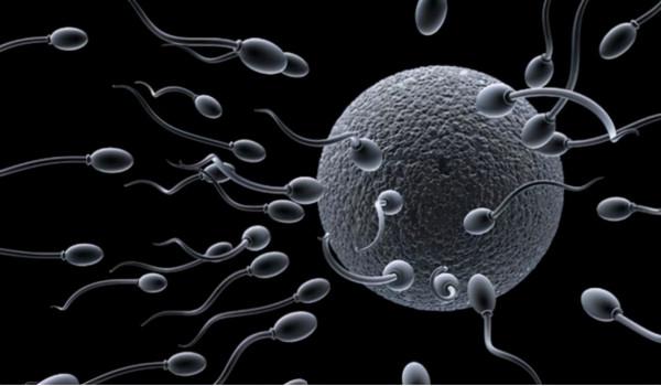 前途迷茫，女權的未來在何方？