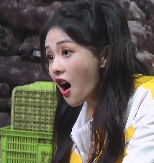 《跑男黃河篇2》全員賣蔬菜,菜農送“謝禮”,唯獨沒給baby 《跑男黃河篇2》全員賣蔬菜,菜農送“謝禮”,唯獨沒給baby