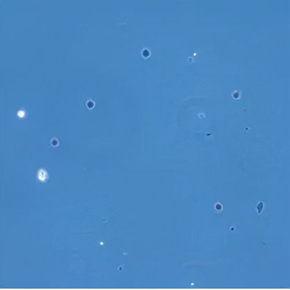 單細胞測序懸液製備失敗？別擔心，單細胞核測序來拯救你的樣本了