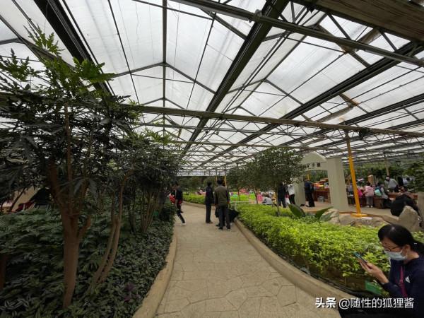 京城遛娃好去處，價格、硬體、軟體彙總，冬季遛娃好輕鬆