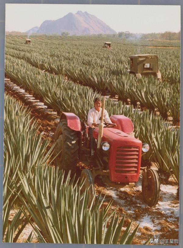 懷舊中國|1970年代的廣西 懷舊中國|1970年代的廣西