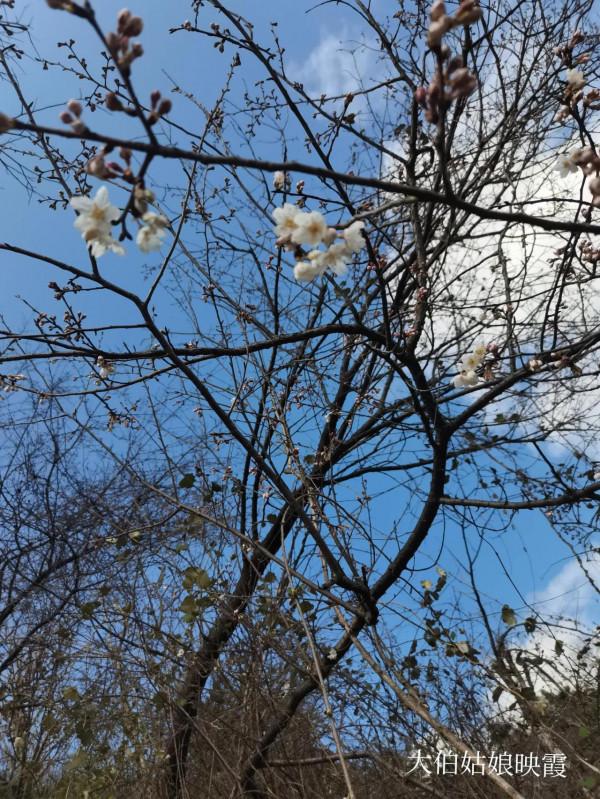這是我長大的地方，一個座落在山頂上的小山村