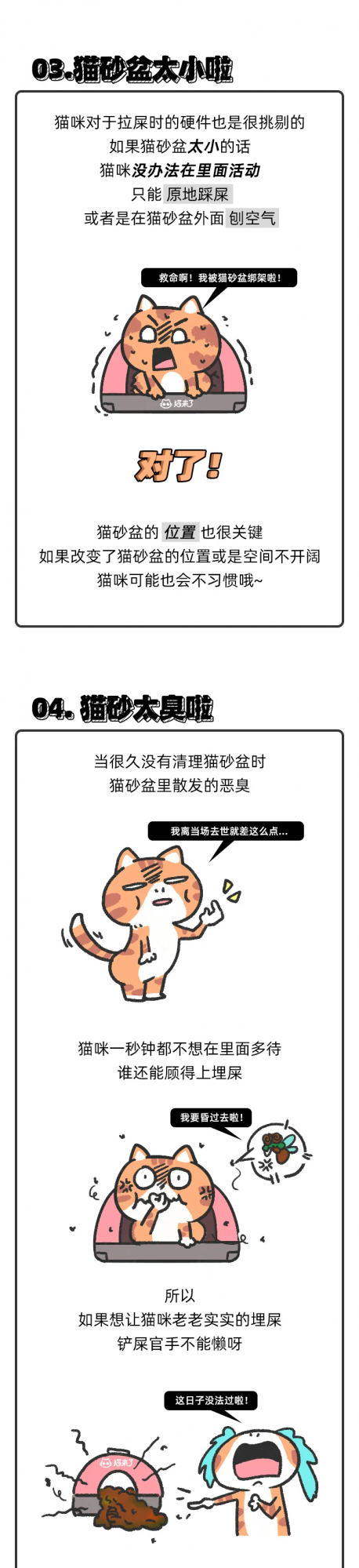 “我家貓學不會用貓砂盆，醫生說它是智障？”