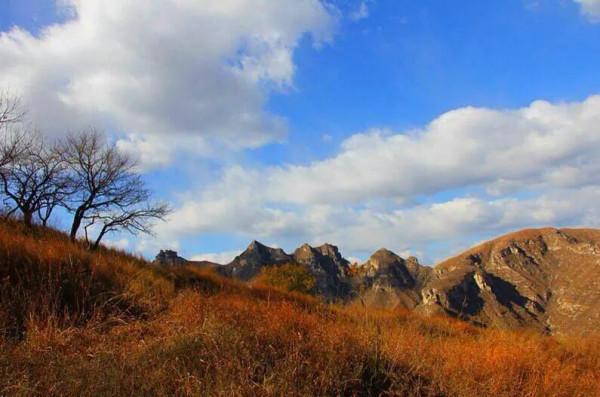 賞秋聖地坡峰嶺 賞秋聖地坡峰嶺