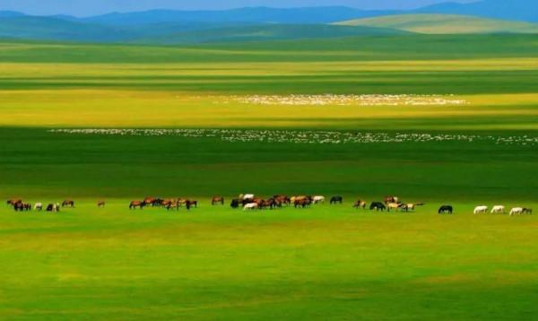 窮人不能缺野心