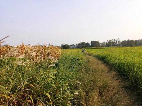 摩托周邊旮旯遊——尋朱元璋出家之於皇寺 摩托周邊旮旯遊——尋朱元璋出家之於皇寺