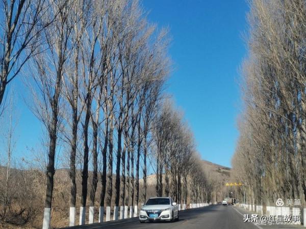 訪三位抗美援朝老兵紀實