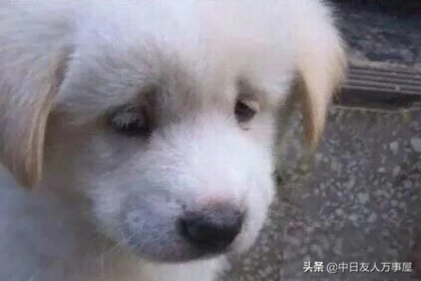 日本人&OpenCurlyDoubleQuote;存款為0&rdquo;上熱搜？說好的收入高、會理財呢？
