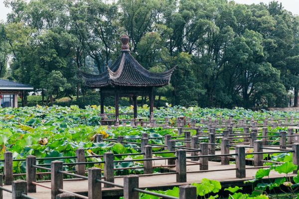 一個高情商的人，有這三種外在表現