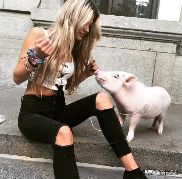 關於法國,瞭解多少? 關於法國,瞭解多少?