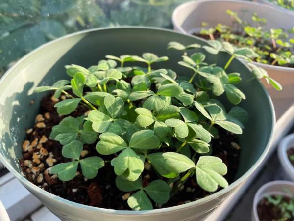 閒暇之餘，簡單，陽光，陪伴，成長......