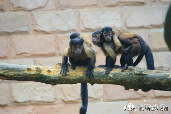 「溫情時刻」定格瞬間，感受美好