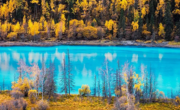 新疆，匯聚了中國大半個秋色