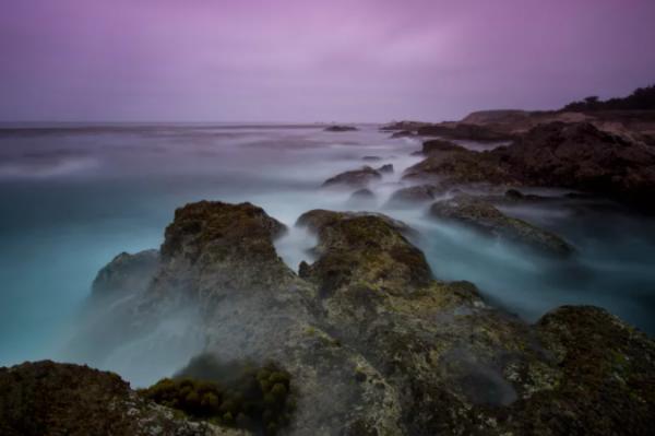 德才兼備，眼界高遠的星座，表面上溫良低調，實則城府深厚且迷人