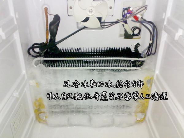 風冷冰箱買回家一個月了：早知道這麼好用，我早就把舊冰箱換掉了