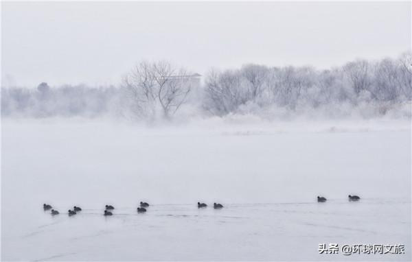 韓國江原道霧凇綻放美不勝收 韓國江原道霧凇綻放美不勝收