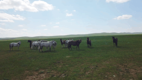 自駕邊境——邊境線上的車站 自駕邊境——邊境線上的車站