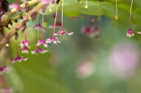 55歲阿姨：那時候連我做的飯都不吃的人，年老了卻離不開我