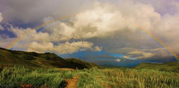 分享圖片～草原