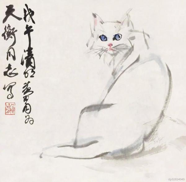 實在太多了，大家抱走一隻吧——貓