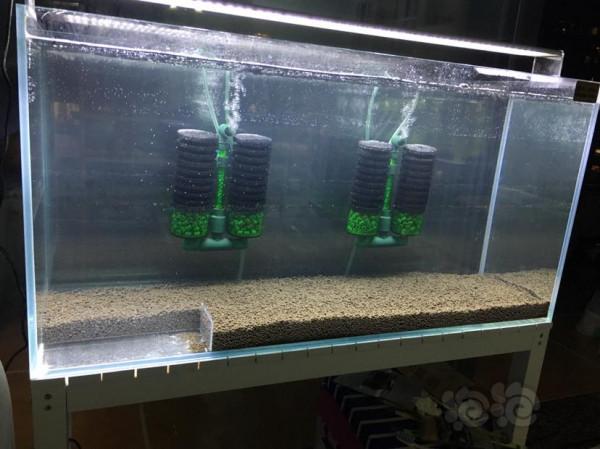 關於魚缸的過濾系統您選對了麼