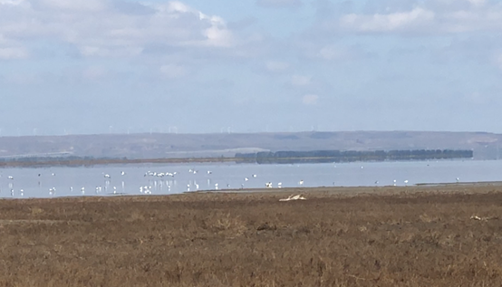 塞外聖潔明塘——黃旗海