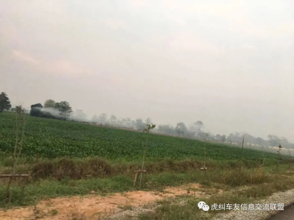 泰產本田彎梁（WAVE125）摩托車駕馭感受