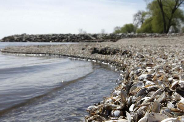 為什麼我國採用220v電壓，美國卻使用110v電壓，差距到底有多大？