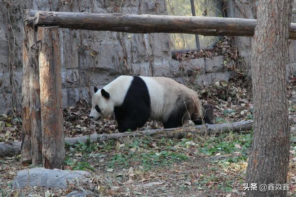 我們的兵工廠——三線往事系列之北京旅遊(第七集) 我們的兵工廠——三線往事系列之北京旅遊(第七集)