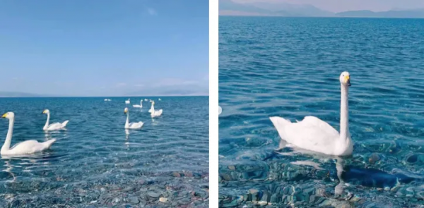 此生必去的新疆怎麼玩？看完這篇就夠了