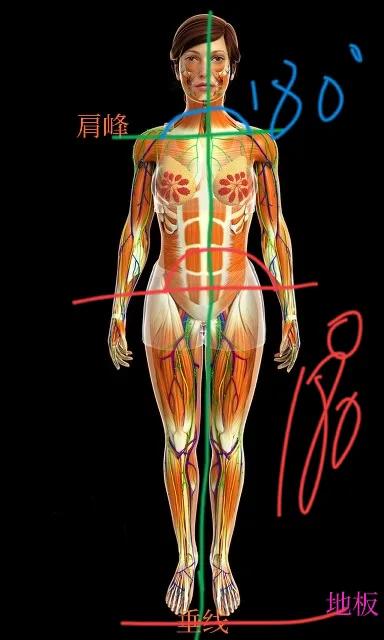 瞭解瑜伽練習中的錯誤姿勢