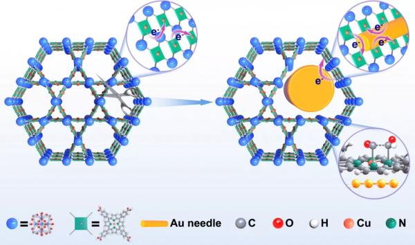 蘇大彭揚/程濤Nature子刊：Cu MOF中的Au活化N，助力CO2RR產乙烯